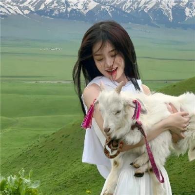 中央公园第三季 在线观看